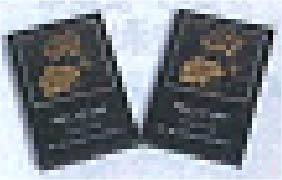 保全薬品