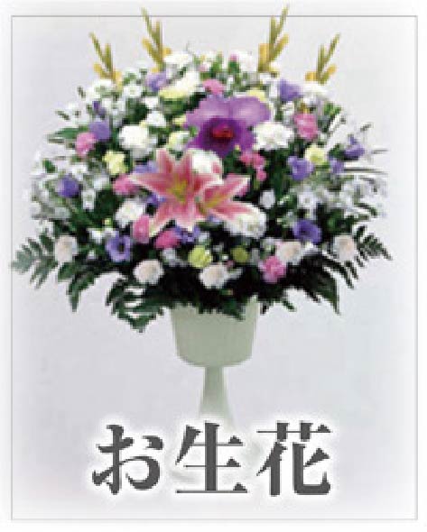 いわさきのお生花